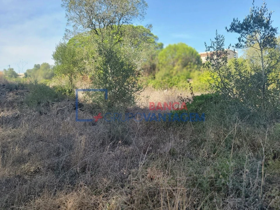 Terreno Agricola ou Rústico para Venda em São João das Lampas e Terrugem Foto 10