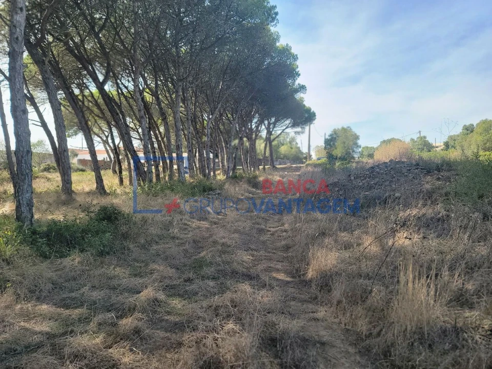 Terreno Agricola ou Rústico para Venda em São João das Lampas e Terrugem Foto 11