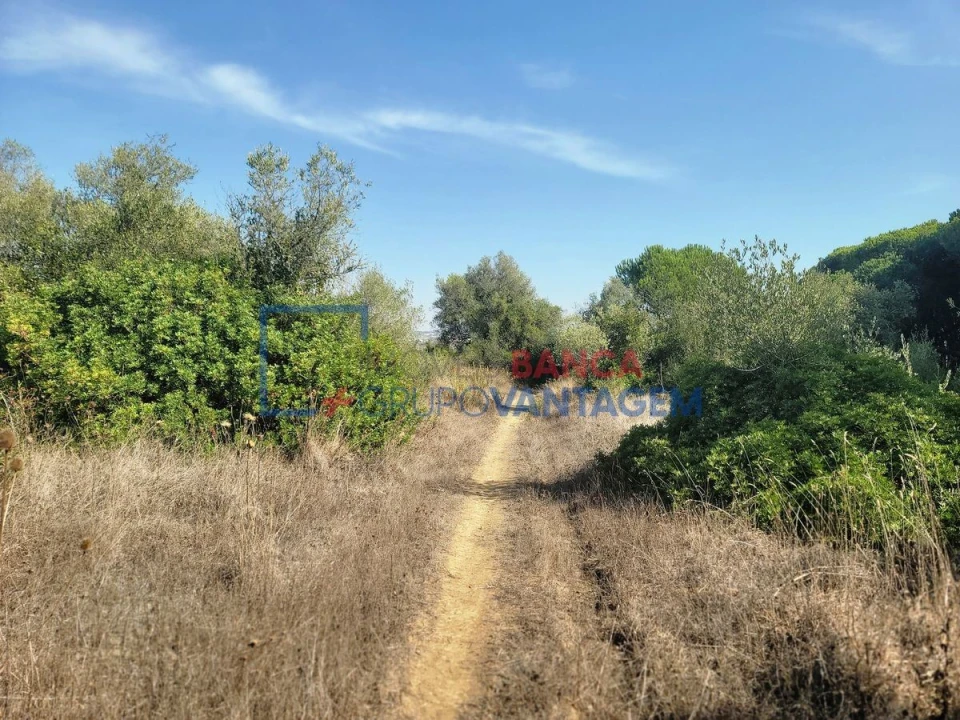 Terreno Agricola ou Rústico para Venda em São João das Lampas e Terrugem Foto 12