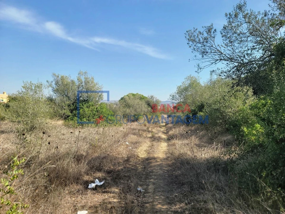 Terreno Agricola ou Rústico para Venda em São João das Lampas e Terrugem Foto 14