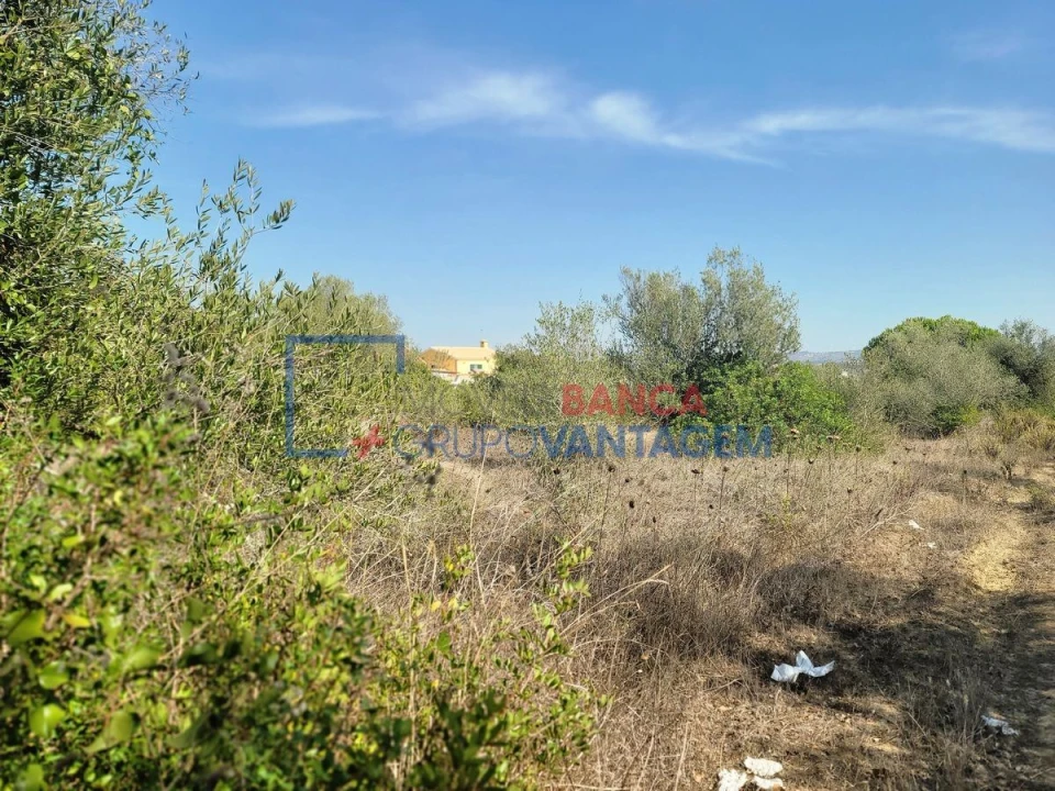 Terreno Agricola ou Rústico para Venda em São João das Lampas e Terrugem Foto 15
