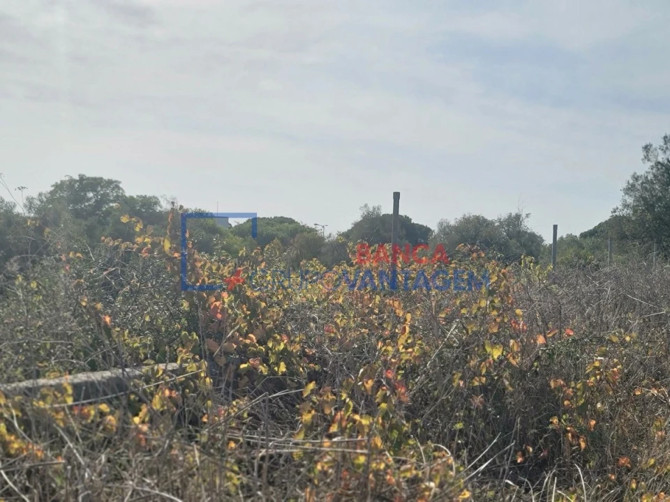 Terreno Agricola ou Rústico para Venda em São João das Lampas e Terrugem Foto 19