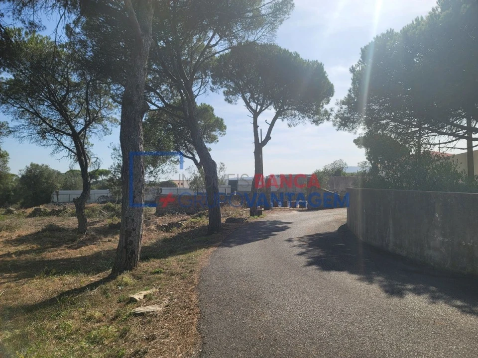 Terreno Agricola ou Rústico para Venda em São João das Lampas e Terrugem Foto 24
