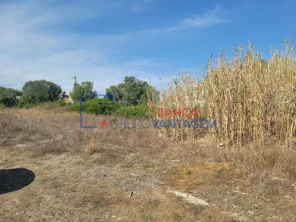 Terreno Agricola ou Rústico para Venda em São João das Lampas e Terrugem Foto 29