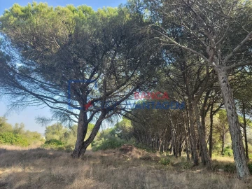 Terreno Agricola ou Rústico para Venda em São João das Lampas e Terrugem