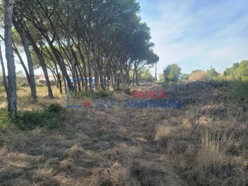 Terreno Agricola ou Rústico para Venda em São João das Lampas e Terrugem