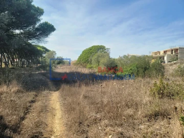Terreno Agricola ou Rústico para Venda em São João das Lampas e Terrugem