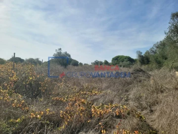 Terreno Agricola ou Rústico para Venda em São João das Lampas e Terrugem