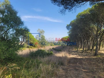 Terreno Agricola ou Rústico para Venda em São João das Lampas e Terrugem