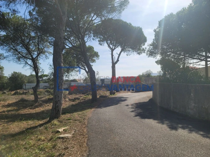 Terreno Agricola ou Rústico para Venda em São João das Lampas e Terrugem Foto 3