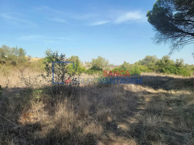 Terreno Agricola ou Rústico para Venda em São João das Lampas e Terrugem Foto 9