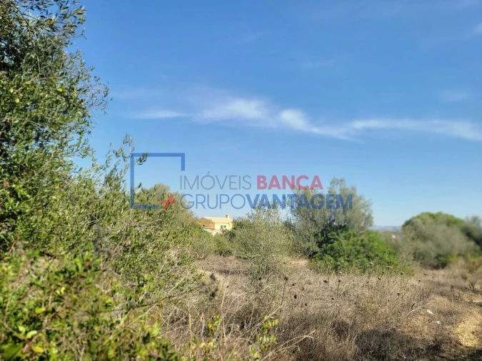 Terreno Agricola ou Rústico para Venda em São João das Lampas e Terrugem Foto 16