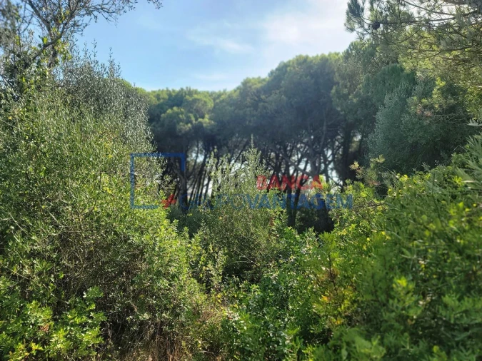 Terreno Agricola ou Rústico para Venda em São João das Lampas e Terrugem Foto 17