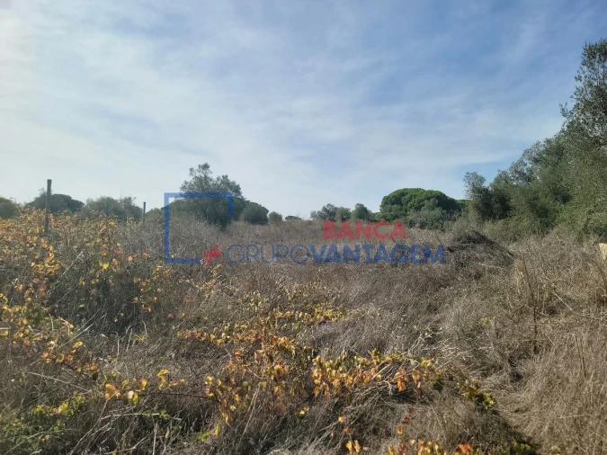 Terreno Agricola ou Rústico para Venda em São João das Lampas e Terrugem Foto 20
