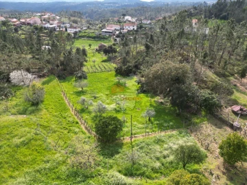 Moradia T4 para Venda em Cernache do Bonjardim, Nesperal e Palhais