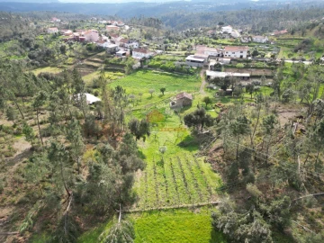 Moradia T4 para Venda em Cernache do Bonjardim, Nesperal e Palhais