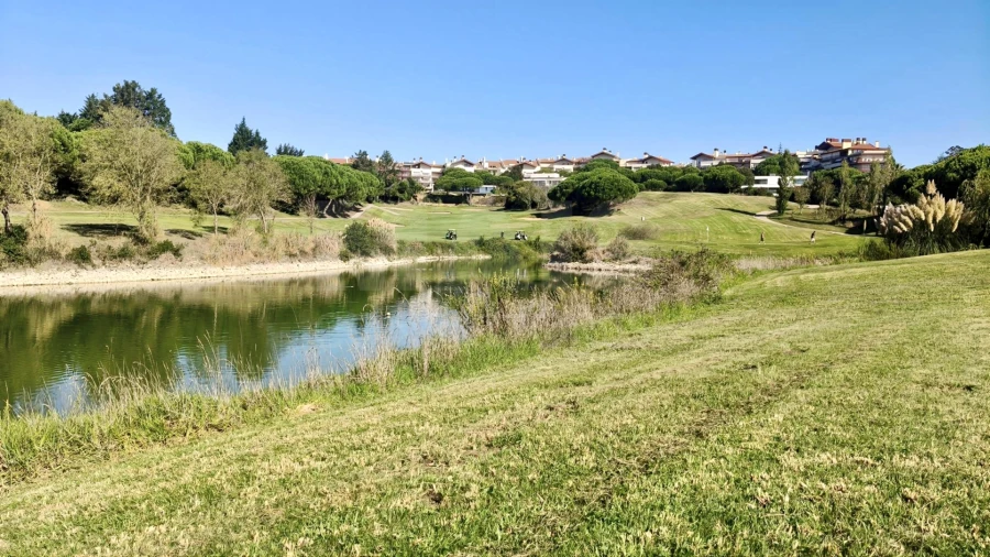 Terreno para Venda em Queluz e Belas Foto 6