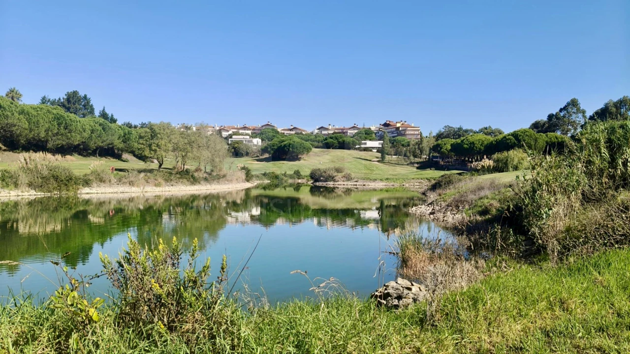 Terreno para Venda em Queluz e Belas Foto 8