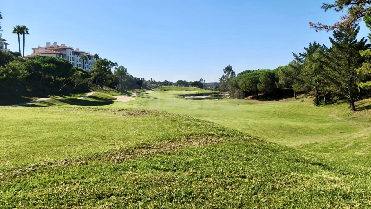 Terreno para Venda em Queluz e Belas Foto 7