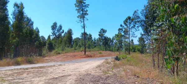 Terreno para Venda em Cardigos