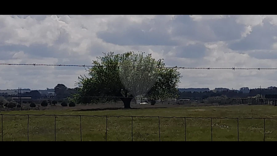 Terreno para Venda em Alpiarça