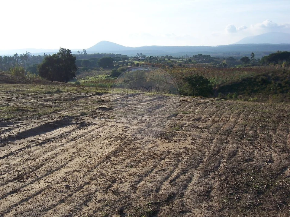 Terreno para Venda em Aveiras de Cima Foto 3