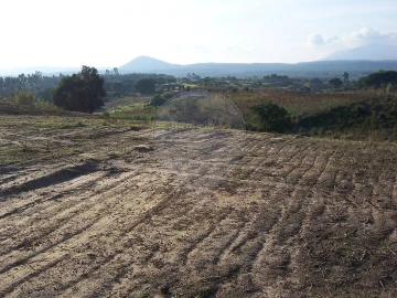 Terreno para Venda em Aveiras de Cima