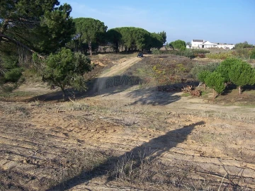 Terreno para Venda em Aveiras de Cima