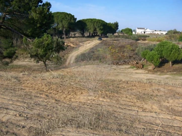 Terreno para Venda em Aveiras de Cima