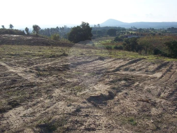 Terreno para Venda em Aveiras de Cima
