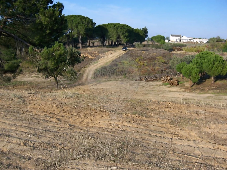 Terreno para Venda em Aveiras de Cima Foto 1