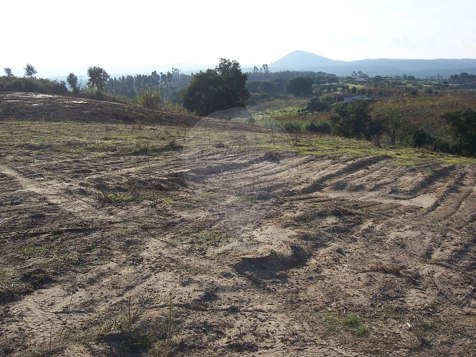 Terreno para Venda em Aveiras de Cima Foto 5