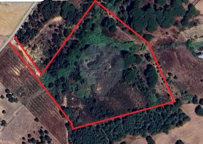 Terreno para Venda em Aveiras de Cima Foto 3