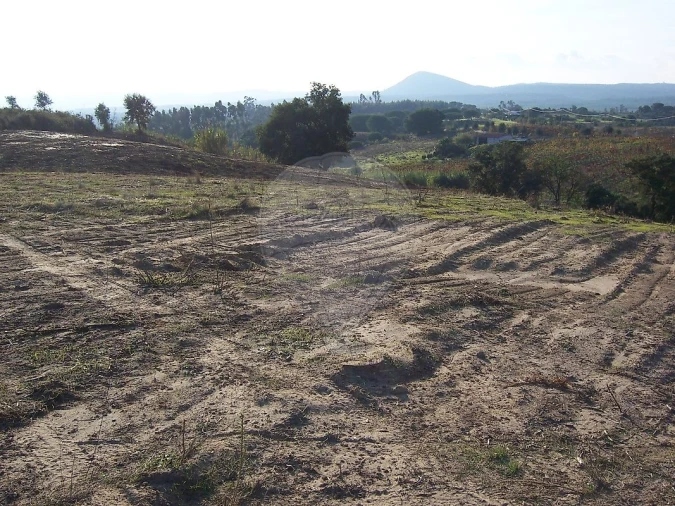 Terreno para Venda em Aveiras de Cima Foto 5