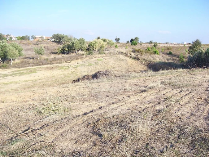 Terreno para Venda em Aveiras de Cima Foto 4