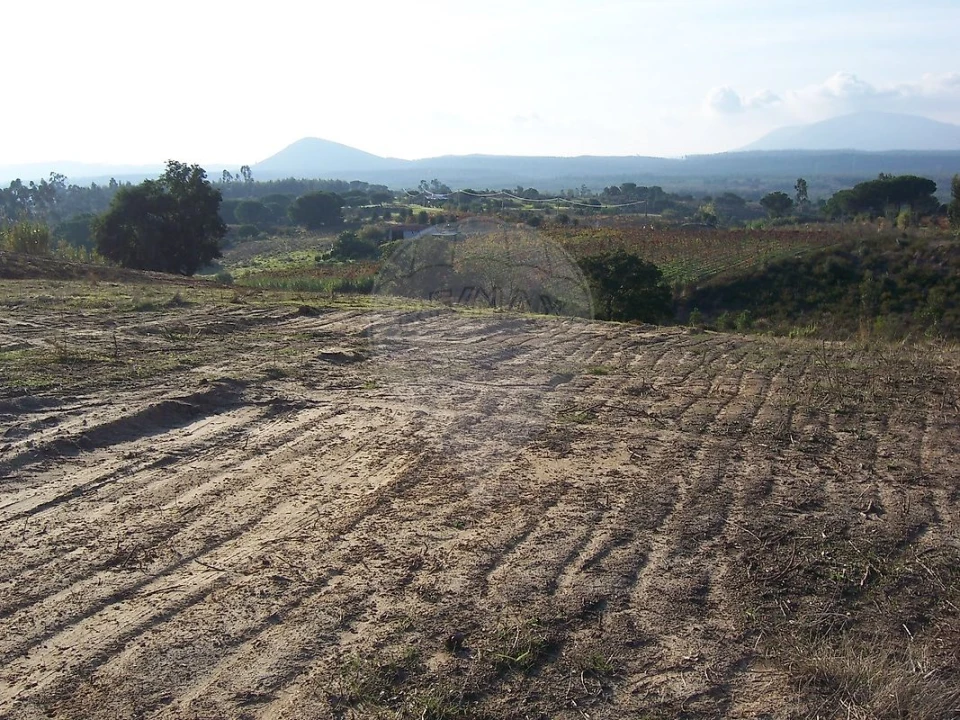 Terreno para Venda em Aveiras de Cima Foto 2