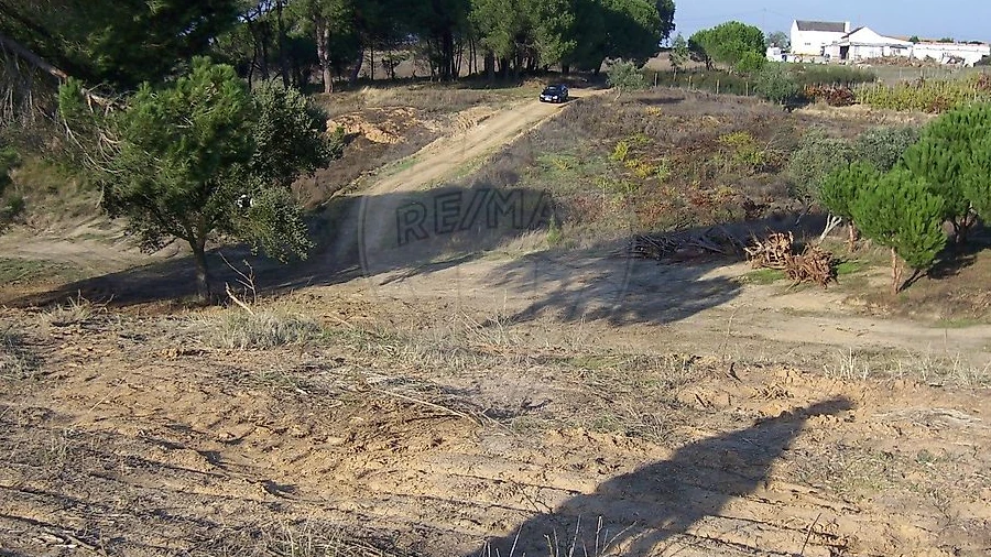 Terreno para Venda em Aveiras de Cima