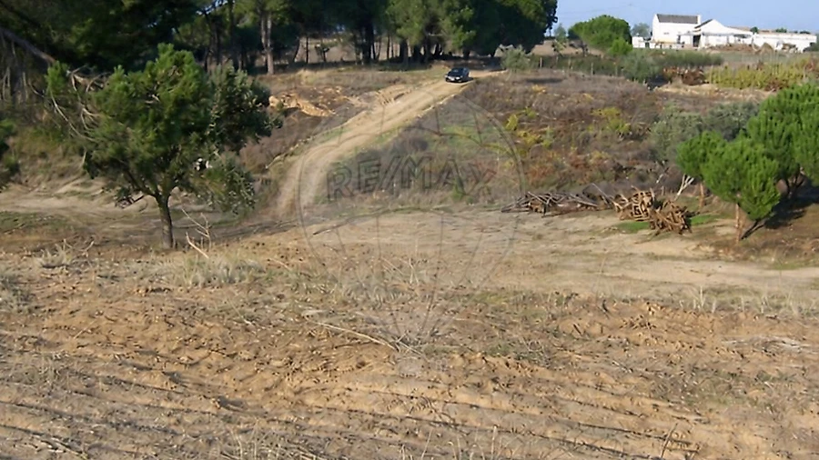 Terreno para Venda em Aveiras de Cima