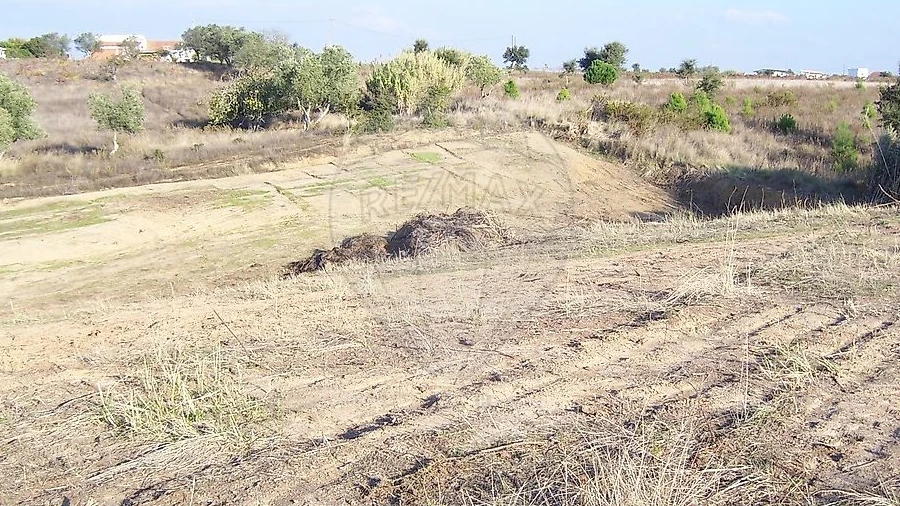 Terreno para Venda em Aveiras de Cima