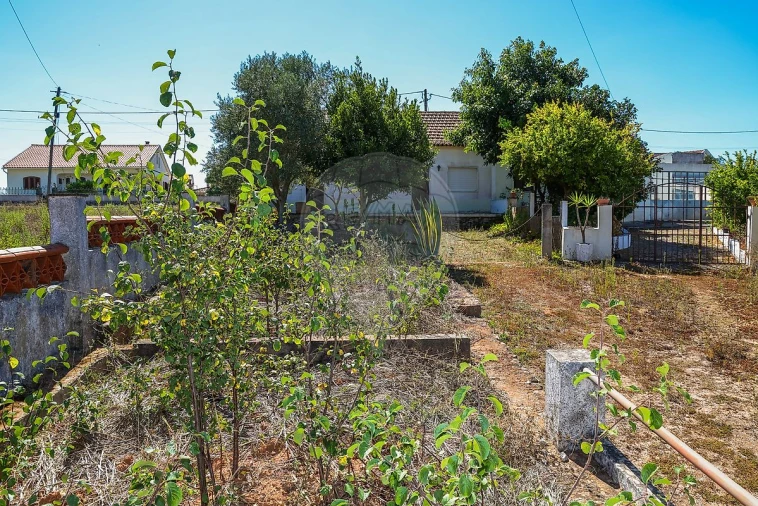 Moradia T3 para Venda em Abrigada e Cabanas de Torres Foto 32