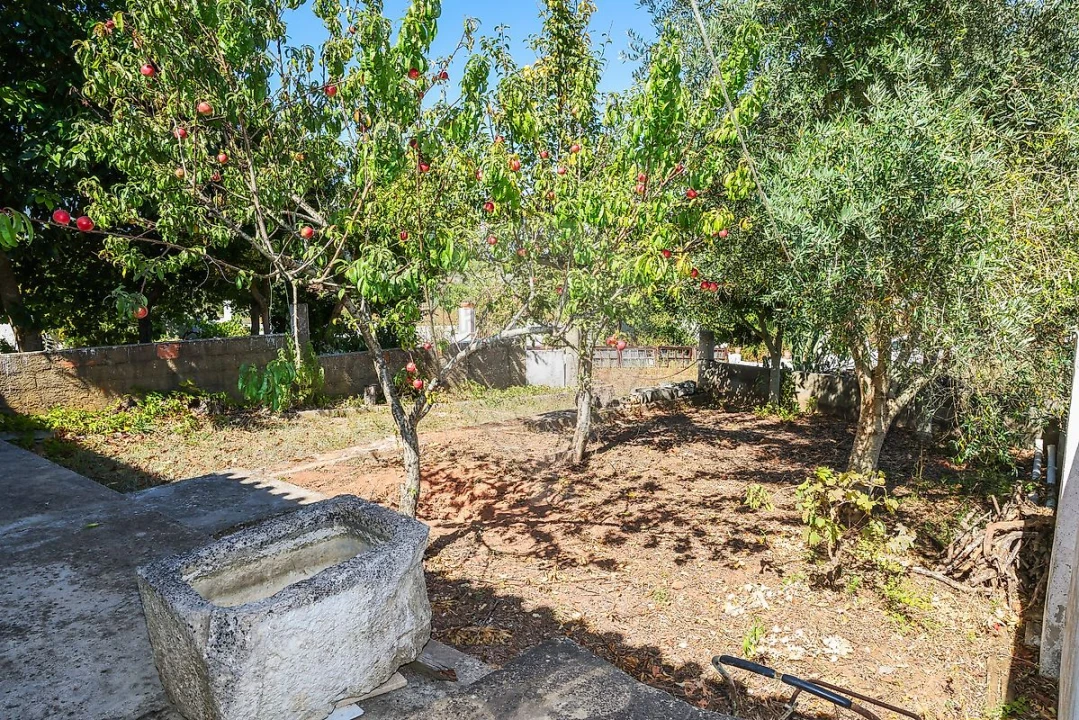 Moradia T3 para Venda em Abrigada e Cabanas de Torres Foto 25