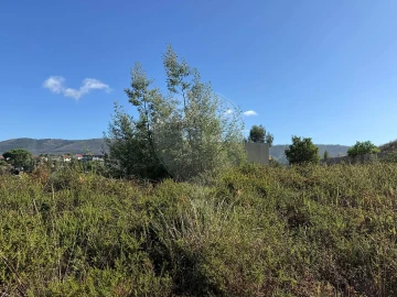 Terreno para Venda em Melres e Medas