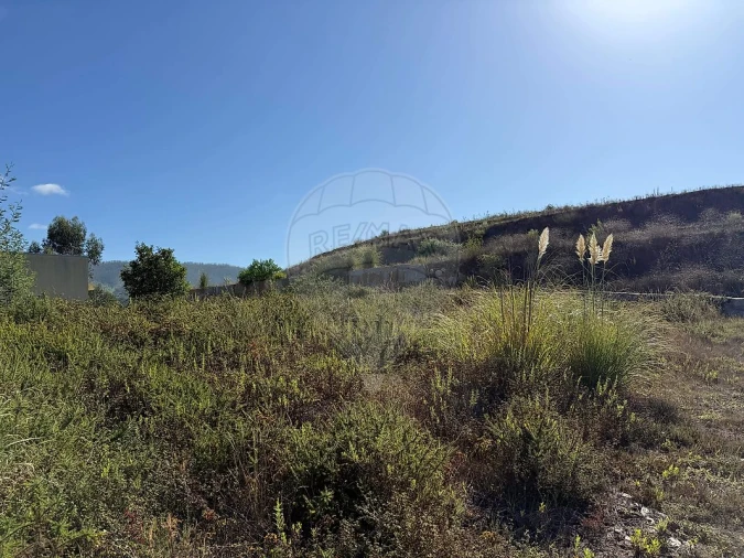 Terreno para Venda em Melres e Medas Foto 5