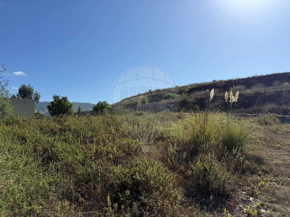 Terreno para Venda em Melres e Medas Foto 5