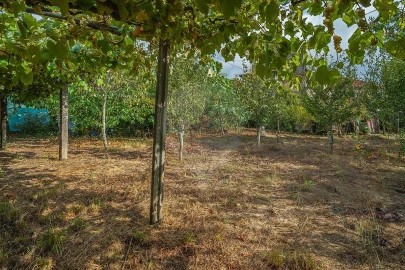 Moradia T12 para Venda em Capela