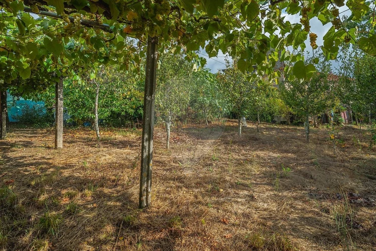 Moradia T12 para Venda em Capela Foto 36