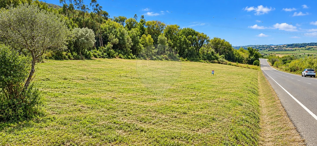 Terreno para Venda em Almargem do Bispo, Pêro Pinheiro e Montelavar Foto 3