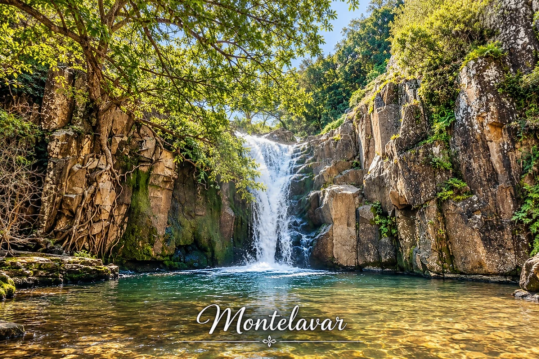 Terreno para Venda em Almargem do Bispo, Pêro Pinheiro e Montelavar Foto 15