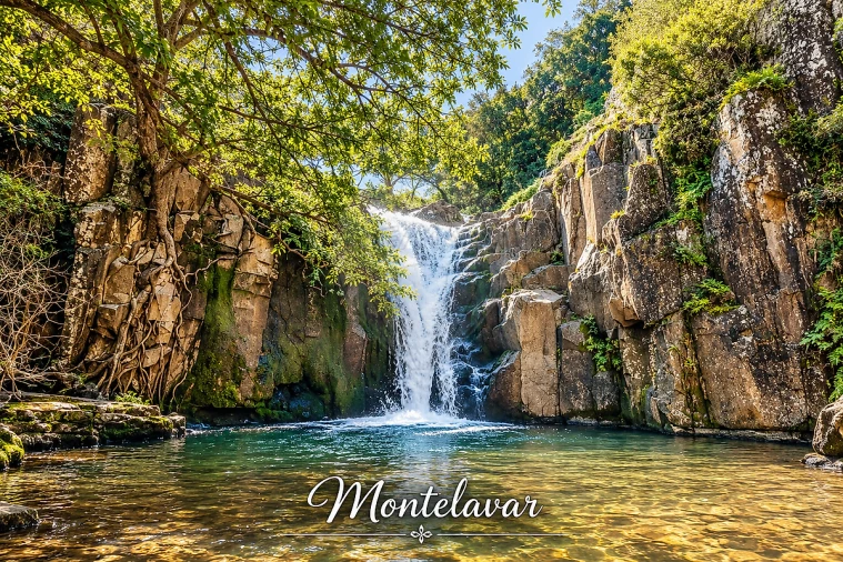 Terreno para Venda em Almargem do Bispo, Pêro Pinheiro e Montelavar Foto 15