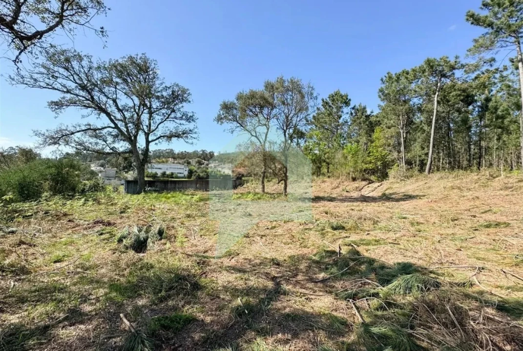 Terreno para Venda em Creixomil e Mariz Foto 6